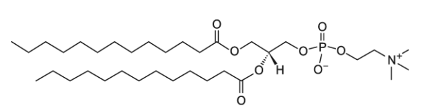 CAS:71242-28-9  13:0 PC   1,2-ditridecanoyl-sn-glycero-3-phosphocholine