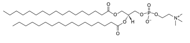 CAS:70897-27-7   17:0 PC    1,2-二十七烷酰基-sn-甘油-3-磷酸胆碱 