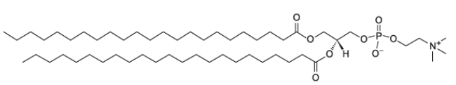 CAS:112241-60-8   23:0 PC   1,2-ditricosanoyl-sn-glycero-3-phosphocholine
