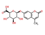 4-Methylumbelliferyl-beta-D-glucuronide  
