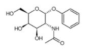 苯基N-乙酰基-α-D-半乳糖胺  