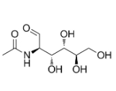 	N-acetyl-D-glucosamine  