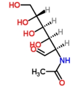 	N-acetyl-β-D-galactosamine  