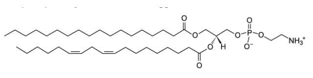 Egg PE  L-α-phosphatidylethanolamine (Egg, Chicken) 