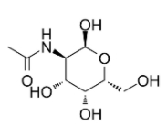 	2-乙酰胺基-2-脱氧-D-半乳糖  