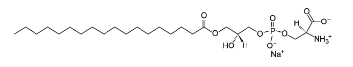 CAS:383907-66-2  Brain Lyso PS  L-α-溶血磷脂酰丝氨酸 （钠盐）