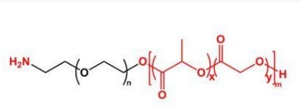  PLGA-PEG-NH2；聚乳酸-羟基乙酸共聚物聚乙二醇氨基；可定制