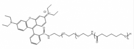  PCL-PEG-RB；聚己内酯聚乙二醇罗丹明；可定制