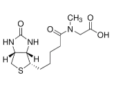 生物素-肌氨酸；Biotin-Sarcosine    
