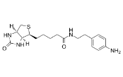 CAS：769933-15-5；Biotin-aniline；生物素-苯胺