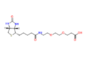 生物素-二聚乙二醇-羧基；1365655-89-5；Biotin-PEG2-acid