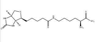 H-LYS(BIOTINYL)-NH2；61125-53-9；(生物素基)-赖氨酰胺