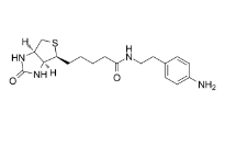 769933-15-5           Biotin-aniline	生物素-苯胺	