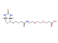 1365655-89-5         Biotin-PEG2-Acid	生物素-二聚乙二醇-丙酸	