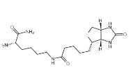 61125-53-9         H-Lys(biotinyl)-NH₂		H-赖氨酸(生物素基)-NH₂