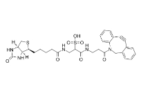 1363444-70-5       DBCO-Sulfo-Link-biotin    DBCO-磺基连接-生物素		