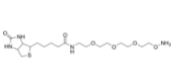 Biotin-PEG3-oxyamine；1786206-22-1；生物素-PEG3-氧胺