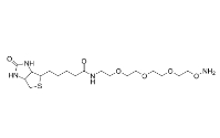 1786206-22-1         Biotin-PEG3-oxyamine	生物素-PEG3-氧胺盐酸盐	