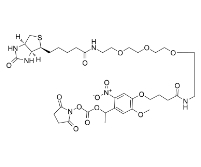 2353409-93-3                PC Biotin-PEG3-NHS Ester	      PC生物素-PEG3-NHS酯	