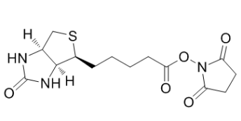(+)生物素-N-琥珀酰亚胺基酯；35013-72-0；BIOTIN DISULFIDE N-HYDROXY-SUCCINIMIDE ESTER