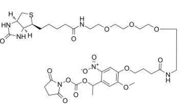 CAS：2353409-93-3，PC Biotin-PEG3-NHS ester，PC生物素-三聚乙二醇-NHS酯