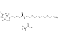  1217455-99-6                    Amine-PEG3-Biotin(TFA)	      胺-PEG3-生物素(TFA)