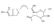 1272755-69-7             N-GlcNAc-生物素     	2-乙酰氨基-2-脱氧-BETA-D-吡喃葡萄糖基氨基生物素	