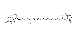 1253286-56-4；Biotin-PEG3-NHS ester；生物素-PEG3-NHS酯