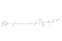 2599839-59-3           生物素-四聚乙二醇-DADPS-吡啶甲基-叠氮	    Biotin-PEG4-dialkoxydiphenylsilane-picolylazide	