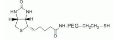 Biotin PEG Thiol 