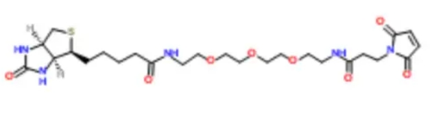Biotin-PEG3-Mal    