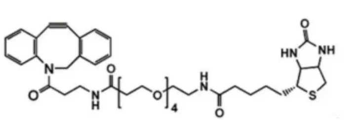 二苯基环辛炔-PEG4-生物素 