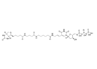 86303-26-6              Biotin-16-deoxyuridine-5'-triphosphate	   生物素标记的 2'-脱氧尿苷-5'-三磷酸三钠盐	