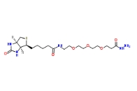 1381861-94-4                  Biotin-peg3-hydrazide	生物素-PEG3-酰肼	