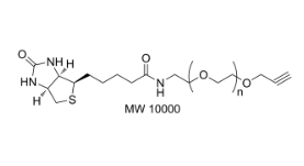 Biotin-PEG-Alk (MW 10000)[Biotin-PEG-Alk]        生物素-聚乙二醇-烷基化合物  