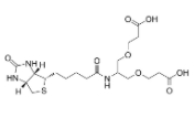 2-(Biotin-amido)-1,3-bis(carboxylethoxy)propane  