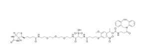 WSPC Biotin-PEG3-DBCO        生物素-PEG3-二氮杂环辅酶点击化合物