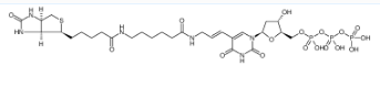 CAS：86303-25-5，Biotin-11-dUTP