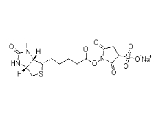 119616-38-5          Biotin 3-sulfo-N-hydroxysuccinimide ester sodium salt