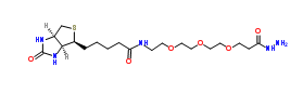 1381861-94-4；Biotin-peg3-hydrazide；生物素-PEG3-丙酰肼
