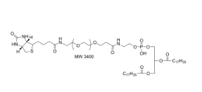 Phospholipid-PEG-Biotin (MW 3400)    磷脂酰胆碱-聚乙二醇-生物素（分子量3400）