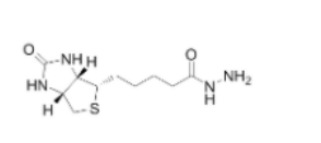 生物素酰肼  