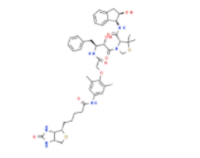 KNI-1293 Biotin  