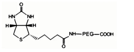 生物素-PEG-羧酸  