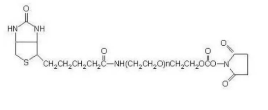 生物素 PEG 琥珀酰亚胺碳酸酯  