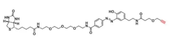DIAZO-生物素-PEG3-炔  