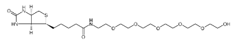 Biotin-PEG6-alcohol；906099-89-6；生物素-六聚乙二醇-乙醇