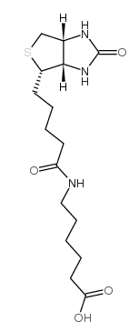 N-Biotinylcaproic Acid；72040-64-3；N-生物素己酸