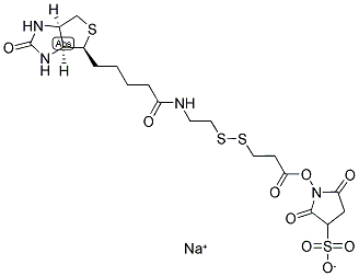 122266-55-1