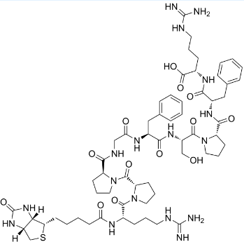 CAS：477319-71-4；biotin-Bradykinin